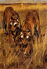 Arthur Wardle Canvas Paintings - Tigers